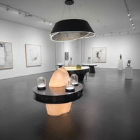 Vitrine d'exposition ovale en plastique renforcé de fibres de verre de haute qualité avec éclairage LED pour musées et commerces