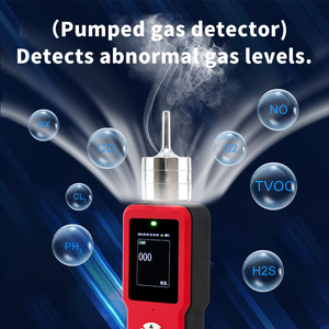 0-500PPM Industrieller Katalytischer Einzel-Gasdetektor für O3, H2S, PH3, NH3, HCL, VOC, COMB, EX mit Pumpe und Alarm, Tragbares Gaslecksuchgerät - Product Image 3