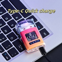 Briquet Électrique Portable Avec Affichage Numérique et Briquet Arc Rechargeable Type-C