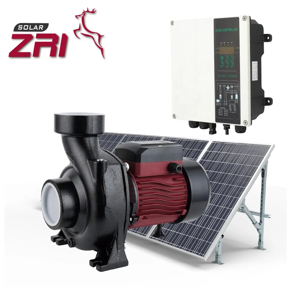 ZRI 1 inch Solar Submersible Water Pump 2hp Solar Pump ACDC Solar Pump For Agriculture And Irrigation