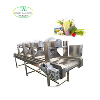 Déshydrateur à air soufflé motorisé à commande PLC automatique pour légumes, fabriqué en Chine