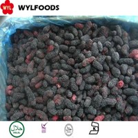 100% Natuurlijk IQF Diepvries Mulberiën Hele Premium Fruit Bulkverpakking voor Groothandel