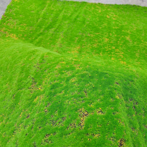 Kích Thước Tùy Chỉnh Nhân Tạo Nhà Máy <span class=keywords><strong>Moss</strong></span> Bảng Điều Chỉnh Giáng Sinh/Halloween Tường Trang Trí <span class=keywords><strong>Moss</strong></span> Vỏ Cây Cỏ UV Kháng - Product Image 3