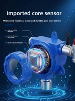 Détecteur de gaz sans fil HIREP LoRa antidéflagrant haute précision avec alarme acousto-optique pour CO, CO2, N2, He, garantie 1 an, ATEX