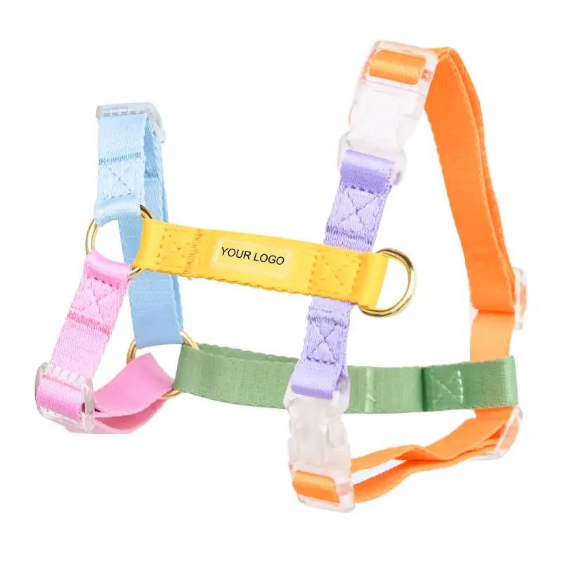 Custom logo strap mix gradient color h type dog harness Manufacturer