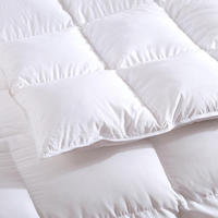 Ensemble de literie pour hôtel en microfibre 100% coton teint uni, rideaux et couettes assortis