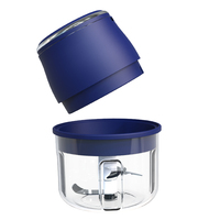 Kitchoice Mini Hachoir Électrique Sans Fil pour Ail, Bol en Verre 350ml, Lame en Acier Inoxydable, 45W, Commande par Bouton Poussoir, Broyeur Alimentaire
