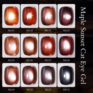 ZRKGEL Usine OEM/ODM – Kit de vernis à ongles gel œil de chat 12 couleurs pour l'automne, marque <span class=keywords><strong>privée</strong></span>, haute pigmentation, magnétique, UV/LED – Fournisseur de gels à ongles - Product Image 2