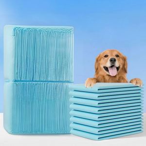 Suministros para Instalaciones de Animales de Servicio que Cumplen con Estrictos Requisitos para Escuelas de Perros Guía y Centros de Entrenamiento de Animales de Servicio - Product Image 5