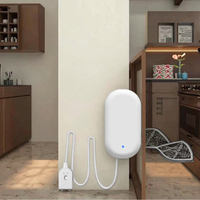 IoT Portable longue portée Lorawan alimenté par batterie équipement de détection de fuite d'eau dispositif de localisation d'alerte avec étiquette de capteur pour un usage domestique