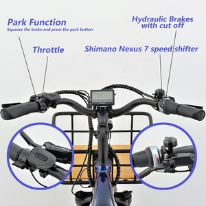 Trikes électriques professionnels pour adultes avec moteur à batterie au lithium centrale 48v <span class=keywords><strong>Shimano</strong></span> <span class=keywords><strong>Nexus</strong></span> <span class=keywords><strong>7</strong></span> vitesses - Product Image 6