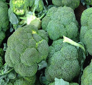 Feuille de brocoli déshydratée Légumes séchés Brocoli Sprout Légumes pour soupe - Product Image 6