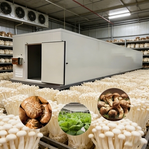 Conteneur <span class=keywords><strong>de</strong></span> <span class=keywords><strong>culture</strong></span> <span class=keywords><strong>de</strong></span> champignons écoénergétique en acier inoxydable, <span class=keywords><strong>chambre</strong></span> <span class=keywords><strong>de</strong></span> <span class=keywords><strong>culture</strong></span> <span class=keywords><strong>de</strong></span> champignons - Product Image 1
