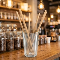 Pailles à boire jetables longues à rayures originales pour fêtes, usage domestique, restaurant, bar, hôtel, mariage