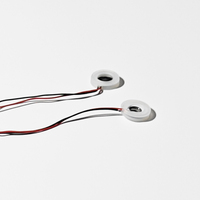 Fabricante de Atomizadores Piezoeléctricos Ultrasónicos, 108kHz, Malla de 16MM, Cerámica Piezoeléctrica Microporosa de Grado Médico, Modelo ATC16, Marca SWT