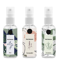 Spray désodorisant moderne pour voiture et maison, parfumé aux huiles essentielles, éliminateur d'odeurs