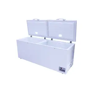 2 Door Large Space Food Storage Freezers Are Of Good Quality For Off-the-shelf Suppliers