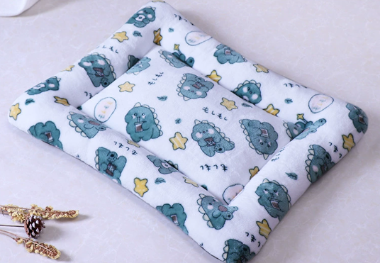 ไดโนเสาร์น้อย