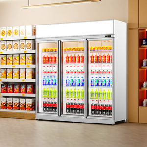 Refrigerador Vertical Personalizable de Bajo Consumo con Luz LED, Refrigerador de Una Puerta para Cantinas, Refrigerador de Exhibición C - Product Image 5