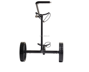 Moteur allemand 180W pour <span class=keywords><strong>chariot</strong></span> de <span class=keywords><strong>golf</strong></span> en carbone <span class=keywords><strong>chariot</strong></span> de <span class=keywords><strong>golf</strong></span> lectrique - Product Image 4