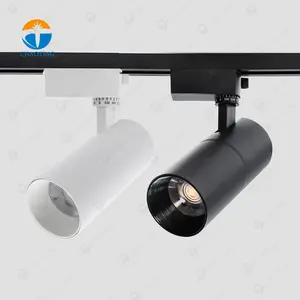 Competitive Price 2 3 4 Wires 3 Phase Recessed Surface Mounted Led Track Lighting 20W 30W Cob Spotlights Track Rail Spot Lights
