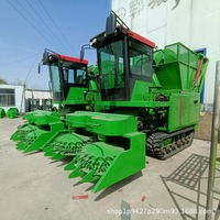 Moissonneuse-broyeuse automotrice sur chenilles pour ensilage, 3-4 rangs, pour maïs et fourrage, 100-150 CV, avec garantie 1 an et pièces de rechange gratuites