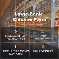 Équipement d'élevage de volailles Ferme avicole Cage à poulets de chair Équipement d'élevage de volailles