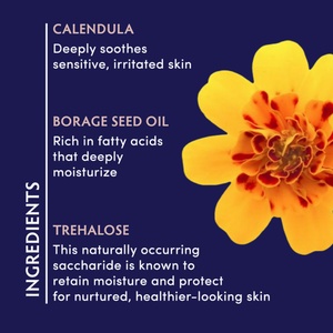 Calendula Essence Crème Hydratante Apaisante Crème Nettoyante <span class=keywords><strong>Visage</strong></span> Hommes Femmes Peaux Sèches Sensibles Nourrir Mruis 50G - Product Image 2
