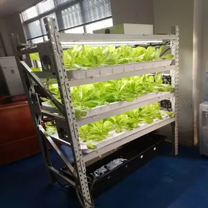 Sistema de cultivo hidrofonico Sistema de cultivo de granja micro verde de plástico móvil para lechuga y Chile con bandejas de Pvc y luces de cultivo - Product Image 3