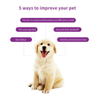 بيع بالجملة مصنع جودة عالية فاخرة نمط الحيوانات الأليفة الكلب الشامبو غسل الجسم العطاء الجلد إزالة رائحة التطهير للكلاب والقطط - Product Image 4