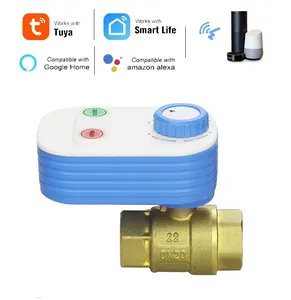 Controlador de válvula inteligente Tuya APP, temporizador de válvula de riego WiFi de tamaño Mini para jardín DN15 DN20 DN25 BSP NPT, Control Manual de emergencia