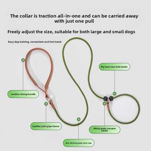 Tali kekang hewan peliharaan, tali anjing besar terintegrasi P nilon dan rantai dengan tombol penutup empuk - Product Image 2