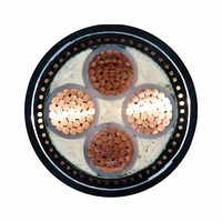 Gepanzertes SWA-Stromkabel aus unterirdischem Stahldraht Mittels pannung 11kV 50mm 70mm 95mm 120mm Single Multi Core Cu Al XLPE PVC-Mantel