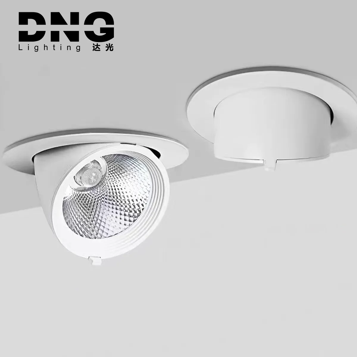 DNG 8w 15w 25w 35w Encastré Led Wall Washer Spot Downlight Noir Blanc Réglable Eléphant Plafonnier Led Downlights