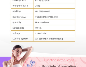 เครื่องกำจัดขนไดโอด 808 ระดับมืออาชีพ พร้อมเครื่องลบรอยสัก Pico หลายความยาวคลื่น พลังงานสูง อุปกรณ์สปา OEM - Product Image 4
