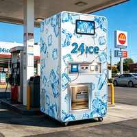 Distributore Automatico di Ghiaccio in Sacchetti ad Alto Profitto con Sistema ad Osmosi Inversa, Ideale per Pontili e Campeggi
