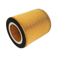 Filtro de Aire de Repuesto para Compresor de Aire Importado de Alta Calidad Tipo Tornillo C1250, Códigos 1613872000 6611411134