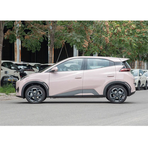 Nuevo Auto Eléctrico Seagull, Marca China <span class=keywords><strong>de</strong></span> Primera Línea, 305 km <span class=keywords><strong>de</strong></span> Autonomía, 5 <span class=keywords><strong>Puertas</strong></span>, 4 Asientos, <span class=keywords><strong>Precio</strong></span> Bajo - Product Image 6