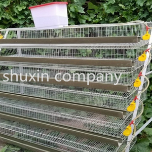 Pas cher UN type galvanisé cage de caille d'équipement animal ferme <span class=keywords><strong>maison</strong></span> bâtiment à vendre - Product Image 3