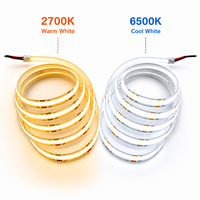 Bande LED flexible 24V double blanc CCT réglable 608 LED/m 10mm pour éclairage décoratif commercial et résidentiel