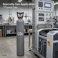 Gas de Dióxido de Carbono CO2 99.999% 5N con Opciones de Cilindros de 8L a 50L para Semiconductores e Investigación
