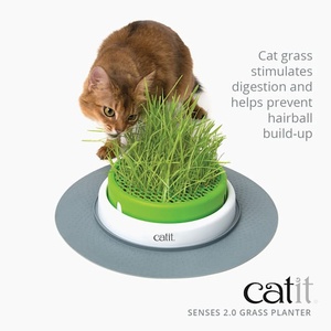 Maceta Catit Senses Grass con Recipiente Profundo y Orificios de Drenaje para Gatos de Interior - Product Image 4