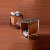 Table basse moderne minimaliste avec plateau en marbre et structure en acier inoxydable, avec espace de rangement, meubles de salon, table d'appoint