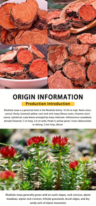 Оптовая продажа, <span class=keywords><strong>Rhodiola</strong></span> <span class=keywords><strong>Rosea</strong></span>, сушеные травы Hong Jing Tian <span class=keywords><strong>rhodiola</strong></span> <span class=keywords><strong>rosea</strong></span> корень - Product Image 3