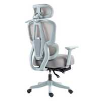 Chaise de bureau ergonomique avec support lombaire réglable 4 directions, appui-tête réglable 4D, accoudoirs 3D, dossier en maille, structure en nylon, pivotante et inclinable