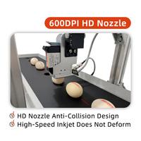Ligne de production d'imprimante DTF automatique S10 Code et machine de marquage à jet d'encre à barre de date pour le type de plaque d'oeufs de poule