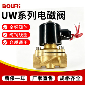 โซลินอยด์วาล์ว Bouri ขนาด 1/2 นิ้ว AC220V DC24V วาล์วควบคุมน้ำและแก๊สแบบสองตำแหน่ง พร้อมเกลียวเชื่อมต่อ - Product Image 5
