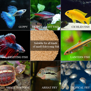 Food for <strong>small</strong> fish high quality dry Dafnia <strong>worm</strong> - Product Image 6
