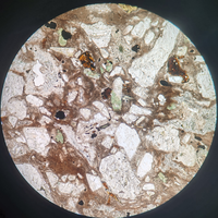 12Pcs Rock Prepared Microscope Slides Igneous Metamorphic Rock Thin Section Specimen Slides Geology Teaching Specimens