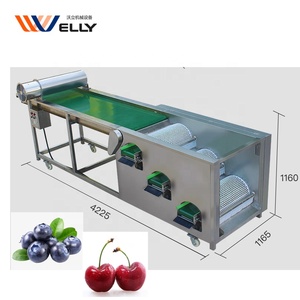 Profesional diseñado de arándanos de clasificación de la máquina/de arándanos frescos máquina de clasificación/arándano máquina de clasificador de - Product Image 5